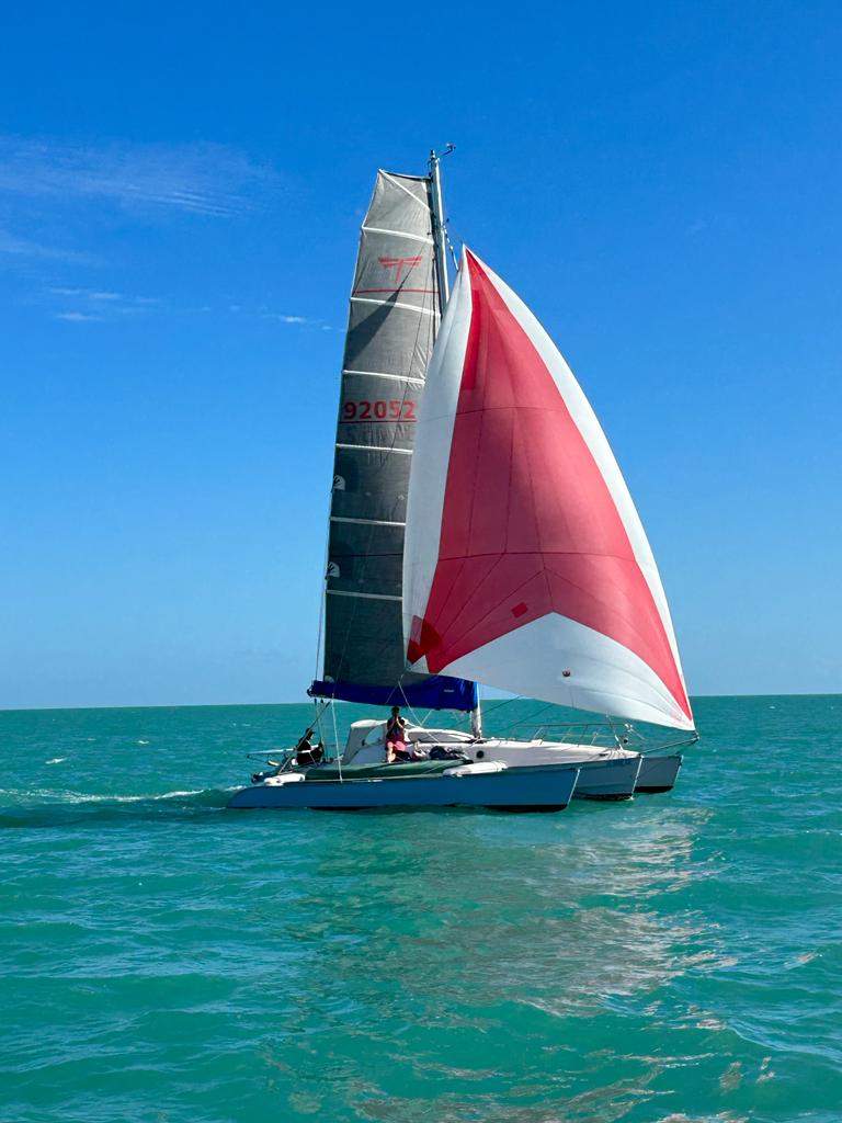 trimaran dragonfly a vendre